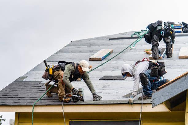 Professional Roofing technician working in New Virginia, IA